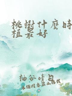 桃树什么时候种植最好
