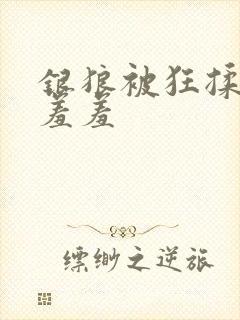 银狼被狂揉下部羞羞