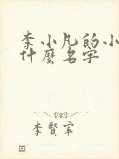 李小凡的小说叫什么名字