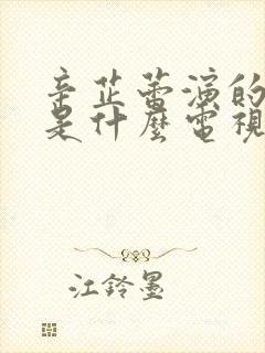 辛芷蕾演的医生是什么电视剧
