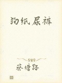 狗纸尿裤