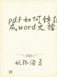 pdf如何转换成word文档编辑