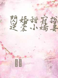 闪婚甜宠总裁的逆袭小娇妻