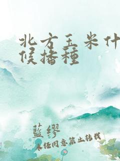 北方玉米什么时候播种 北方玉米什么时候播种