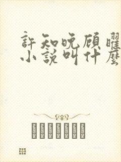 许知晚顾曜辰的小说叫什么名字