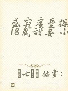 盛宠蜜爱总裁的18岁甜妻 小说