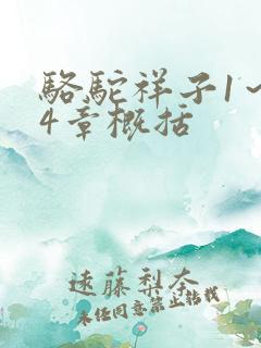 骆驼祥子1～24章概括