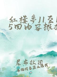 红楼梦11至15回内容概括简短