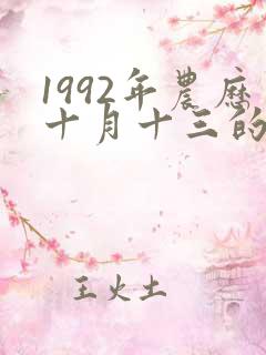 1992年农历十月十三的五行八字属相
