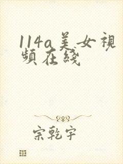 114a美女视频在线