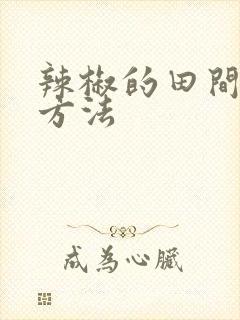 辣椒的田间管理方法