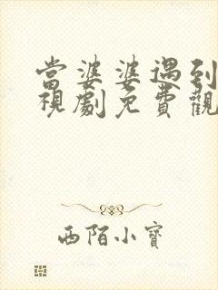 当婆婆遇到妈电视剧免费观看全集