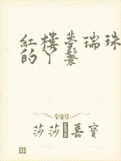 红楼梦瑞珠是谁的丫鬟