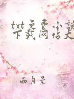 txt免费小说下载网站大全