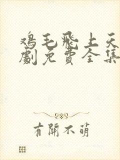 鸡毛飞上天电视剧免费全集播放
