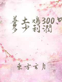 养土鸡300只多少利润