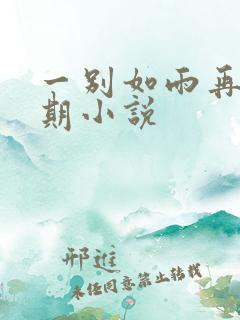 一别如雨再无归期小说