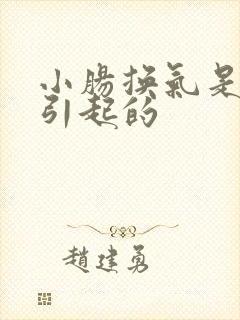 小肠换气是怎么引起的