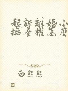起诉离婚小孩的抚养权怎么判