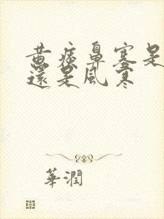 黄痰鼻塞是风热还是风寒