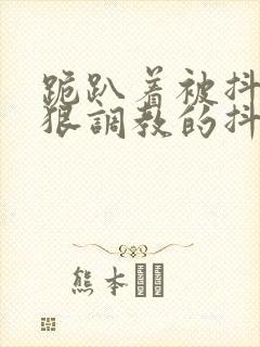 跪趴着被抖m受狠调教的抖s攻