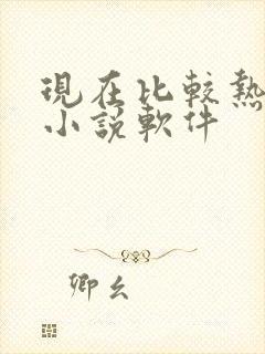 现在比较热门的小说软件