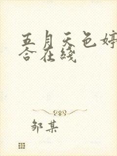 五月天色婷婷综合在线