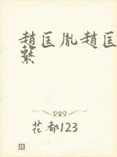 赵匡胤赵匡义关系