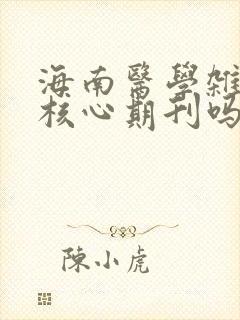 海南医学杂志是核心期刊吗