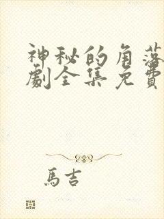 神秘的角落电视剧全集免费播放