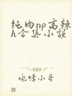 纯肉np高辣文h合集小说