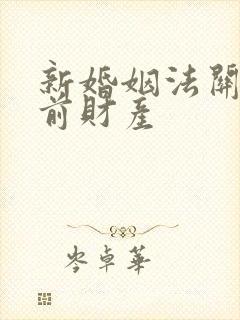 新婚姻法关于婚前财产