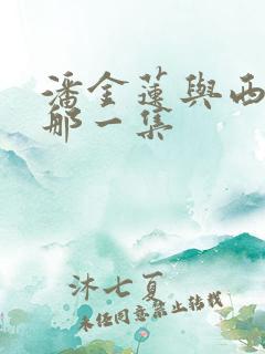 潘金莲与西门庆那一集