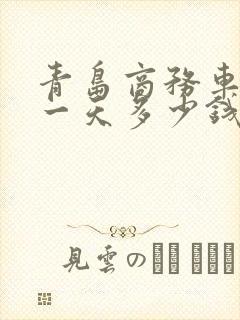 青岛商务车包车一天多少钱