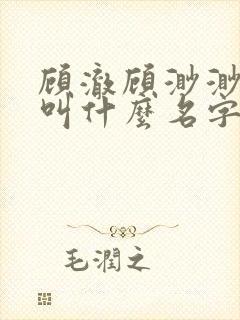 顾澈顾渺渺小说叫什么名字
