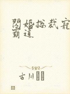 闪婚总裁宠妻太霸道