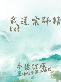 武道宗师精校版txt