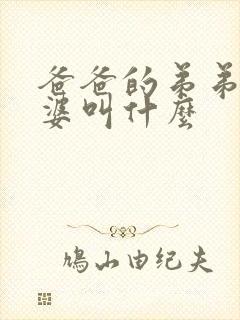 爸爸的弟弟的老婆叫什么