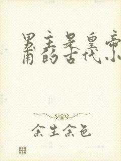 男主是皇帝姓皇甫的古代小说