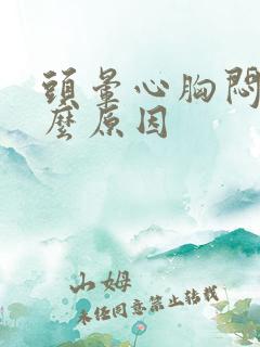 头晕心胸闷是什么原因