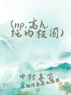 (np,高h,纯肉校园)