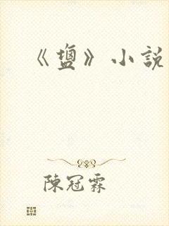 《盐》小说