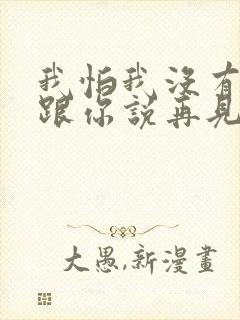 我怕我没有机会跟你说再见是什么歌