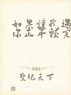 如果让我遇见你你正年轻完整歌词