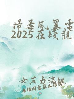 扫毒风暴电视剧2025在线观看免费