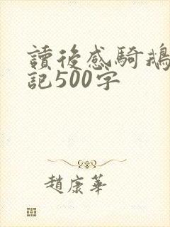 读后感骑鹅旅行记500字