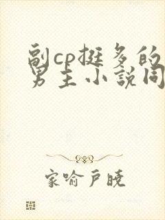 副cp挺多的双男主小说同人文