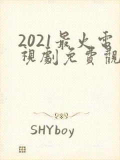 2021最火电视剧免费观看