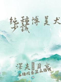 纯种博美犬狗多少钱