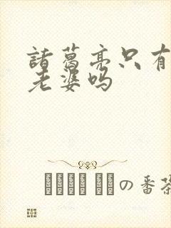 诸葛亮只有一个老婆吗